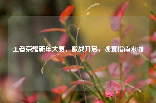 王者荣耀新年大赛,激战开启,观赛指南来啦