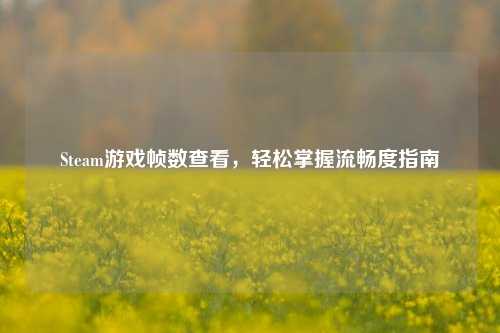 Steam游戏帧数查看,轻松掌握流畅度指南
