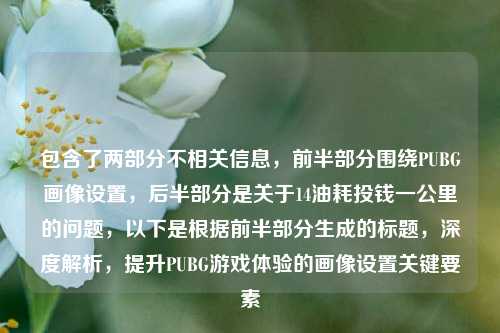 包含了两部分不相关信息,前半部分围绕PUBG画像设置,后半部分是关于14油耗投钱一公里的问题,以下是根据前半部分生成的标题,深度解析,提升PUBG游戏体验的画像设置关键要素