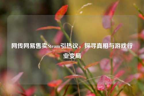 网传网易售卖Steam引热议，探寻真相与游戏行业变局