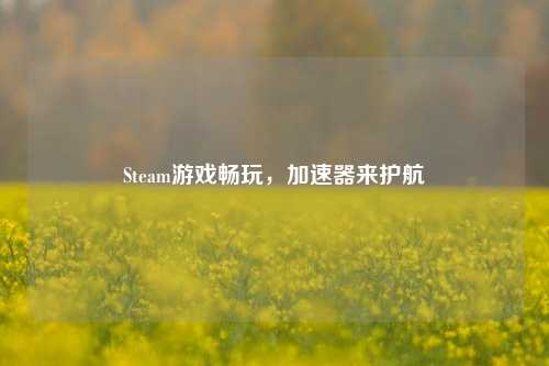 Steam游戏畅玩，加速器来护航