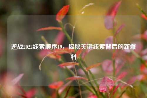 逆战2022线索顺序19,揭秘关键线索背后的新爆料