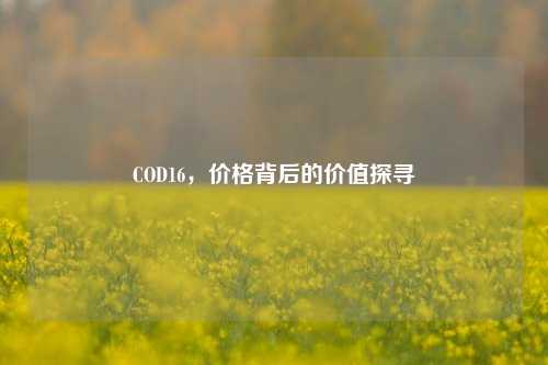 COD16,价格背后的价值探寻