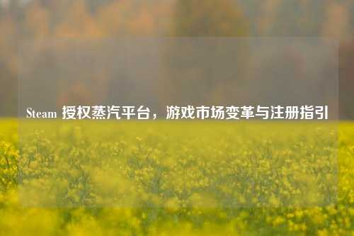 Steam 授权蒸汽平台，游戏市场变革与注册指引