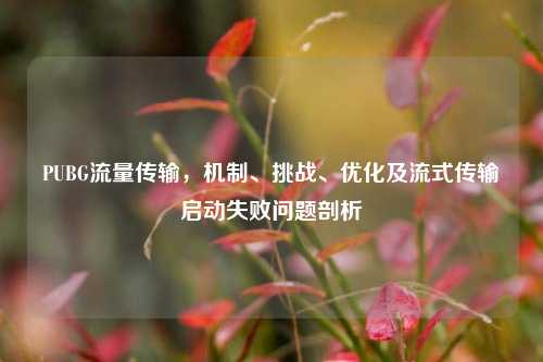 PUBG流量传输，机制、挑战、优化及流式传输启动失败问题剖析