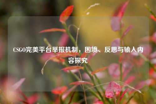 CSGO完美平台举报机制,困境、反思与输入内容探究