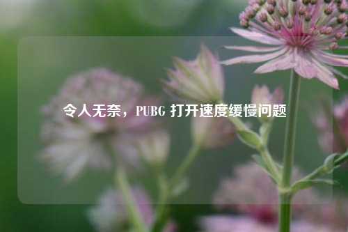 令人无奈，PUBG 打开速度缓慢问题
