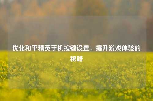 优化和平精英手机按键设置，提升游戏体验的秘籍