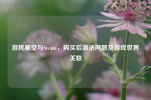 游民星空与Steam，购买后激活问题及游戏世界关联