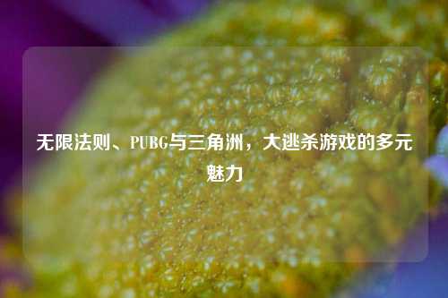 无限法则、PUBG与三角洲,大逃杀游戏的多元魅力
