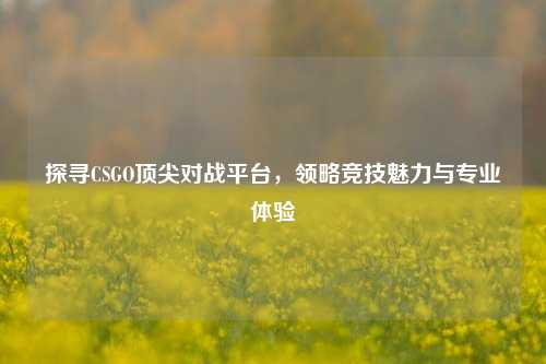 探寻CSGO顶尖对战平台,领略竞技魅力与专业体验