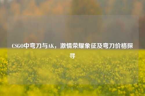 CSGO中弯刀与AK,激情荣耀象征及弯刀价格探寻