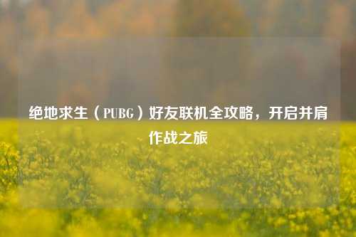 绝地求生(PUBG)好友联机全攻略,开启并肩作战之旅