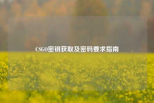 CSGO密钥获取及密码要求指南