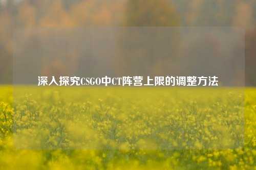 深入探究CSGO中CT阵营上限的调整方法