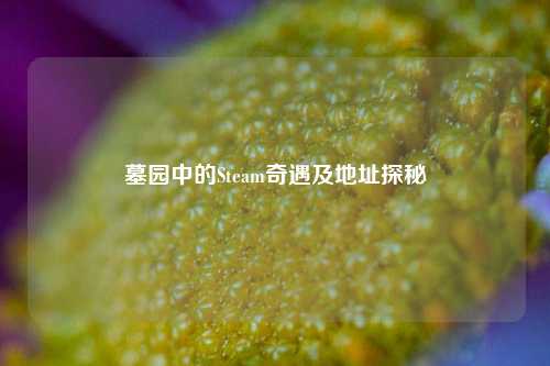 墓园中的Steam奇遇及地址探秘