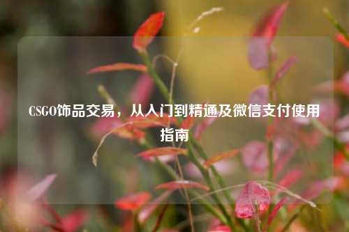 CSGO饰品交易,从入门到精通及微信支付使用指南