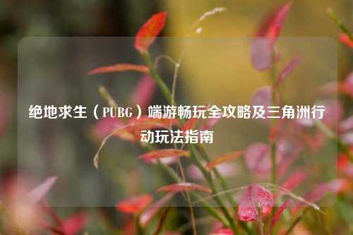 绝地求生（PUBG）端游畅玩全攻略及三角洲行动玩法指南