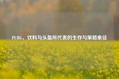 PUBG,饮料与头盔所代表的生存与策略象征