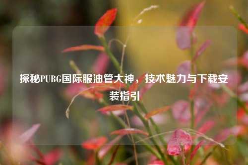 探秘PUBG国际服油管大神,技术魅力与下载安装指引