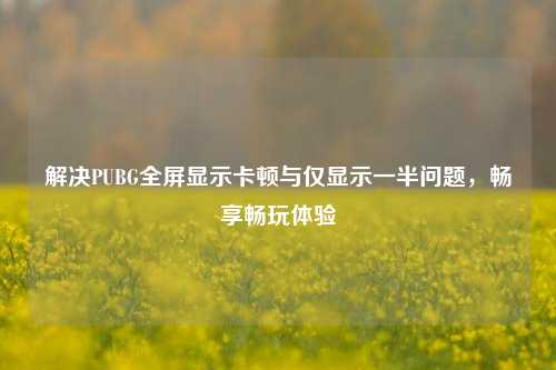 解决PUBG全屏显示卡顿与仅显示一半问题，畅享畅玩体验