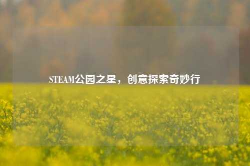 STEAM公园之星,创意探索奇妙行