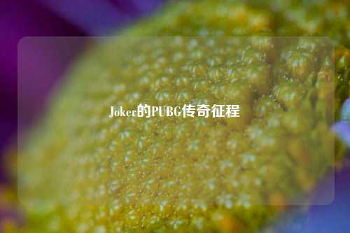 Joker的PUBG传奇征程
