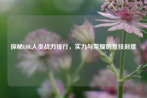 探秘LOL人类战力排行,实力与荣耀的竞技刻度
