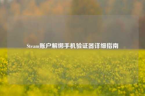 Steam账户解绑手机验证器详细指南