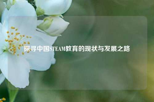探寻中国STEAM教育的现状与发展之路