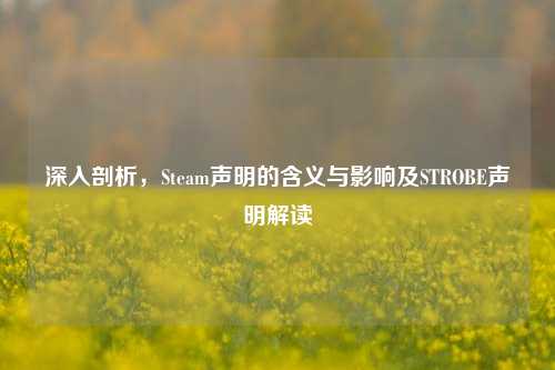 深入剖析,Steam声明的含义与影响及STROBE声明解读