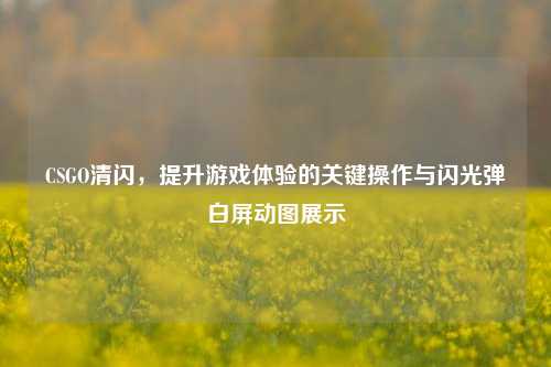 CSGO清闪,提升游戏体验的关键操作与闪光弹白屏动图展示