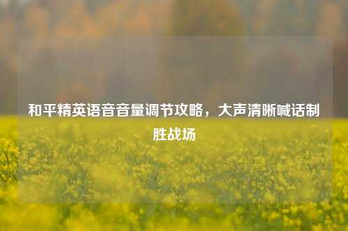 和平精英语音音量调节攻略,大声清晰喊话制胜战场