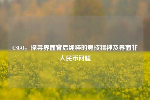 CSGO,探寻界面背后纯粹的竞技精神及界面非人民币问题