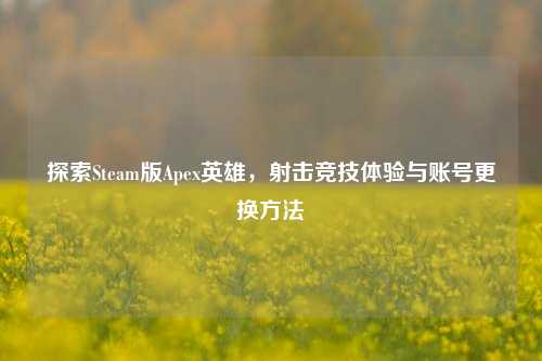 探索Steam版Apex英雄,射击竞技体验与账号更换方法