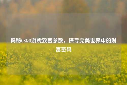 揭秘CSGO游戏致富参数,探寻完美世界中的财富密码