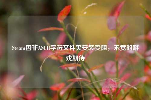 Steam因非ASCII字符文件夹安装受阻，未竟的游戏期待