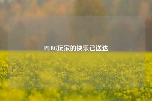 PUBG玩家的快乐已送达