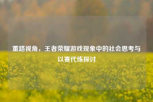 董路视角,王者荣耀游戏现象中的社会思考与以赛代练探讨