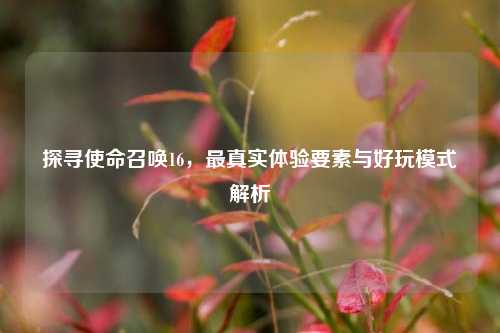 探寻使命召唤16，最真实体验要素与好玩模式解析