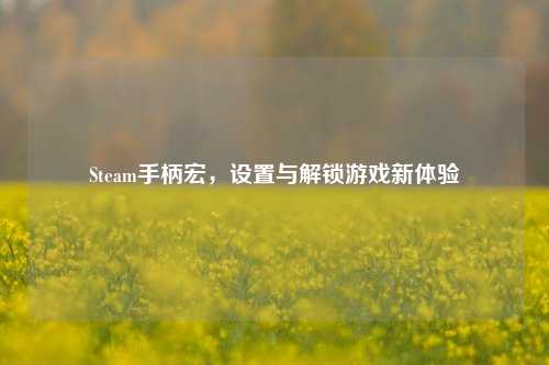 Steam手柄宏，设置与解锁游戏新体验