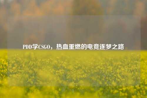 PDD学CSGO，热血重燃的电竞逐梦之路