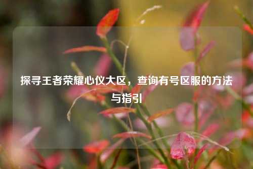 探寻王者荣耀心仪大区，查询有号区服的方法与指引