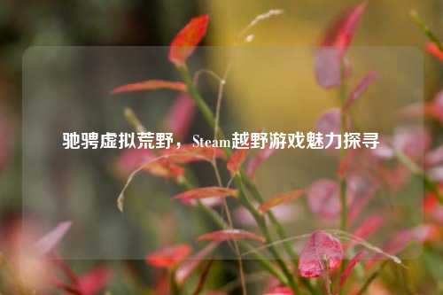 驰骋虚拟荒野，Steam越野游戏魅力探寻