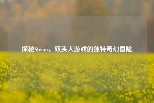 探秘Steam,双头人游戏的独特奇幻冒险