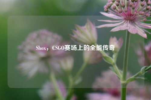 Shox，CSGO赛场上的全能传奇