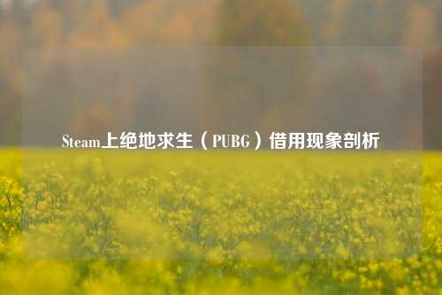 Steam上绝地求生(PUBG)借用现象剖析
