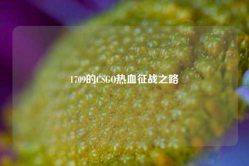 1709的CSGO热血征战之路