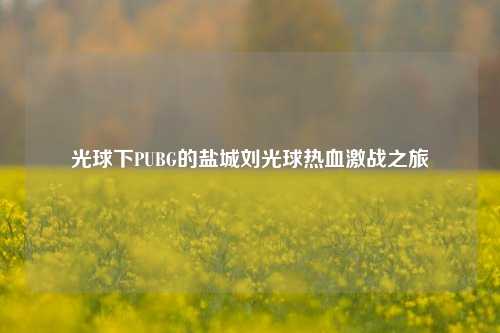 光球下PUBG的盐城刘光球热血激战之旅