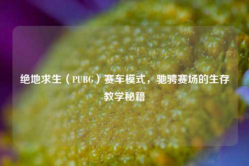绝地求生（PUBG）赛车模式，驰骋赛场的生存教学秘籍